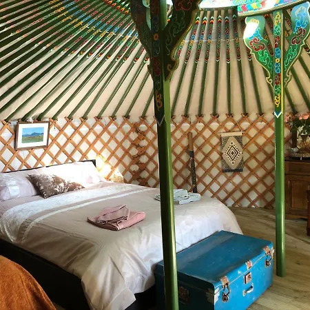 Mill Stream Yurt Hotel Colyton Exterior photo