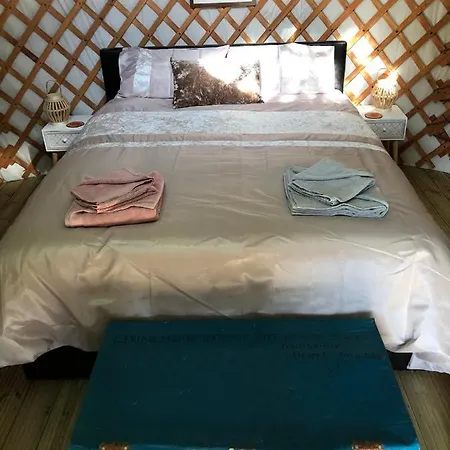 Mill Stream Yurt Hotel Colyton Exterior photo