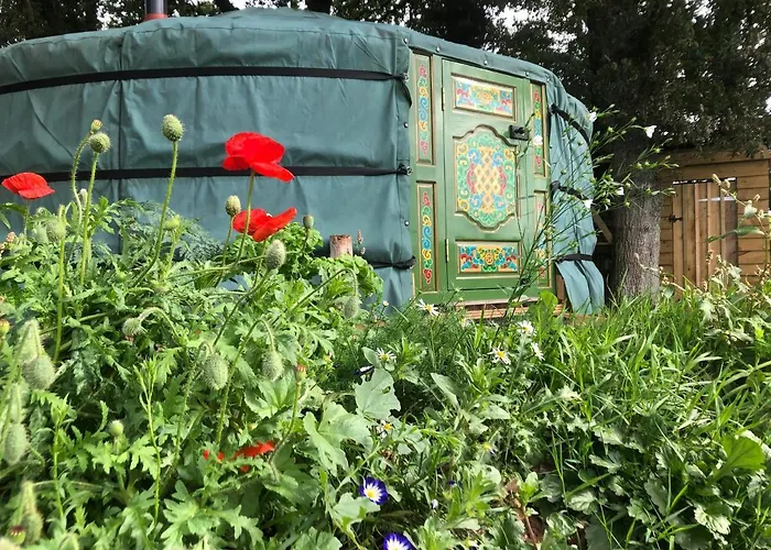 Mill Stream Yurt
