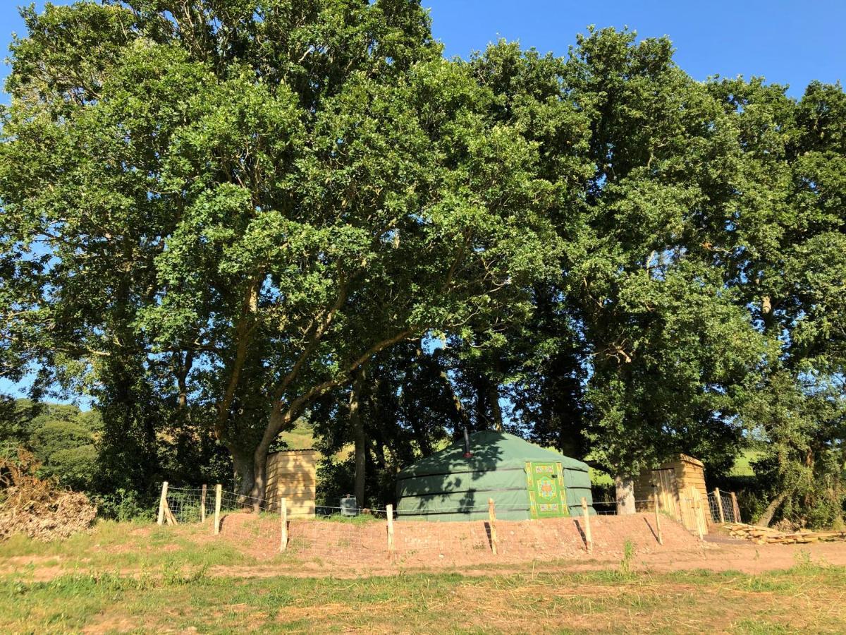 Mill Stream Yurt