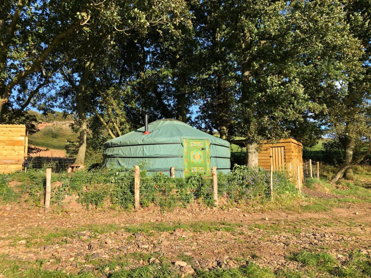 Mill Stream Yurt Colyton