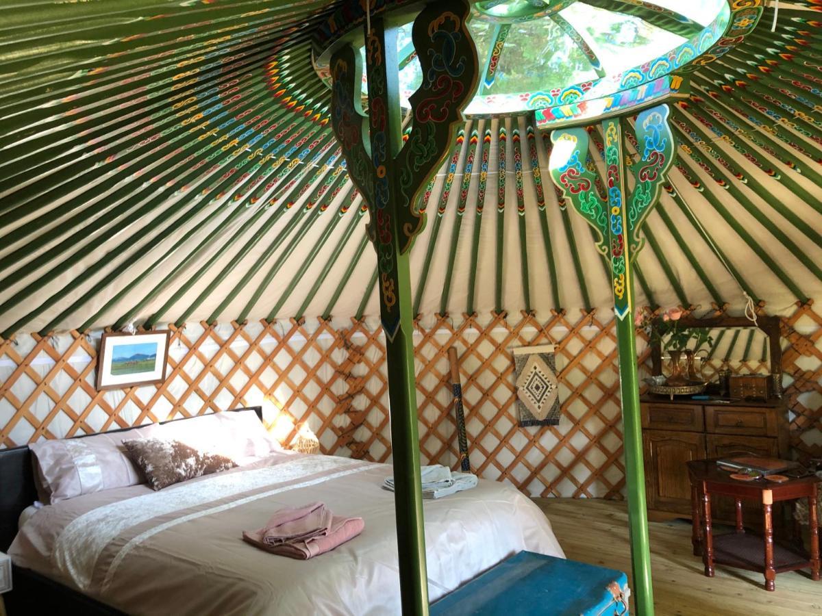 Роскошный шатер Mill Stream Yurt Colyton