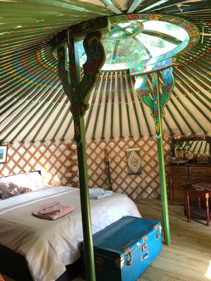 Mill Stream Yurt Colyton