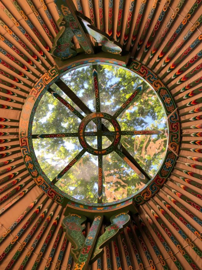 Mill Stream Yurt * Colyton